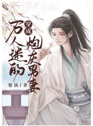 穿成万人迷的炮灰男妻封面
