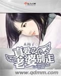 真爱之老婆别走封面