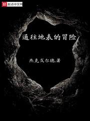 通往地表的冒险封面
