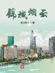 锦城烟云封面