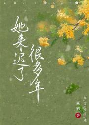 她来迟了很多年封面