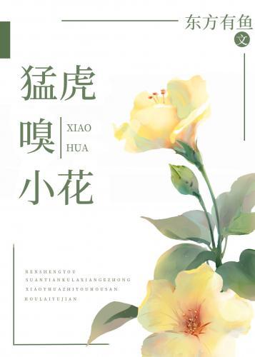猛虎嗅小花封面