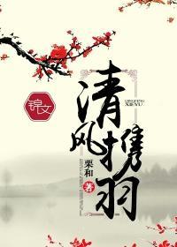 清风携羽封面