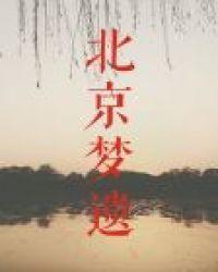 北京梦遗封面