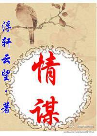 情谋封面
