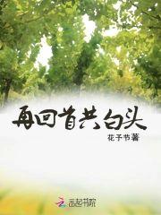 再回首共白头封面