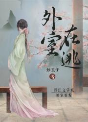外室在逃封面