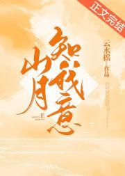 山月知我意封面