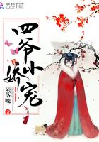 四爷小娇宠封面