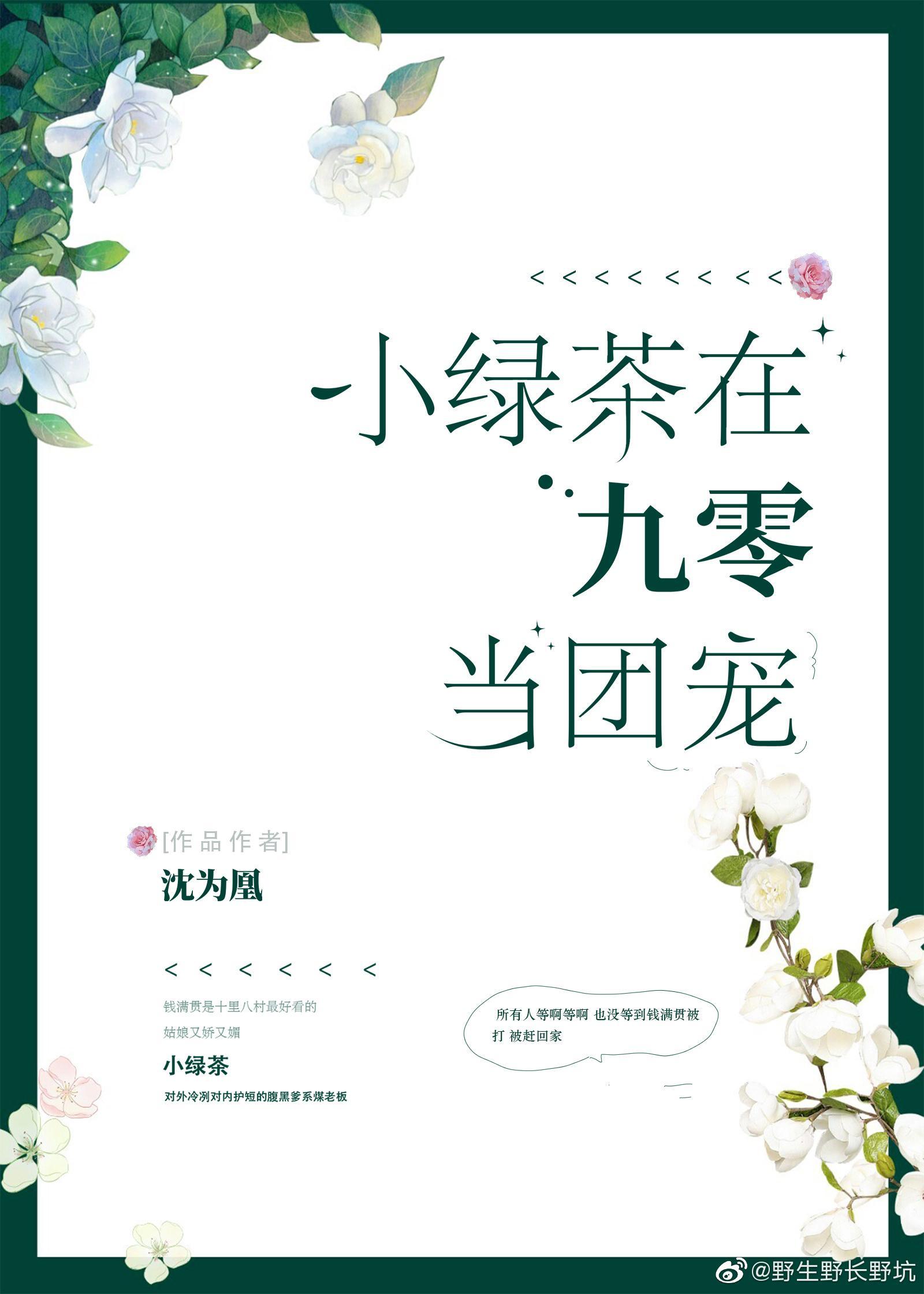 小绿茶在九零当团宠封面