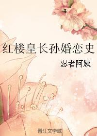 红楼皇长孙婚恋史封面