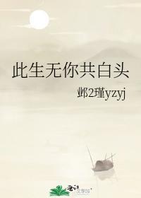 此生无你共白头封面