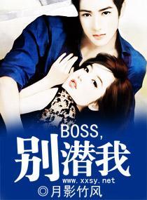 BOSS，别潜我封面