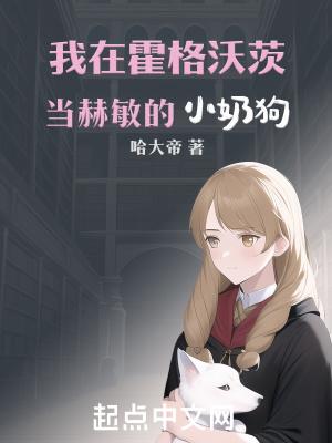 我在霍格沃茨当赫敏的小奶狗封面