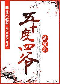 清穿之五十度四爷封面