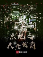 系统之大开发商封面