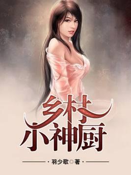 乡村小神厨封面