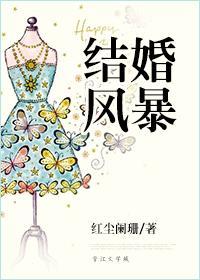 结婚风暴封面