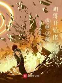 海贼从极恶明哥开始诸天漂流封面