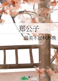 郑公子封面