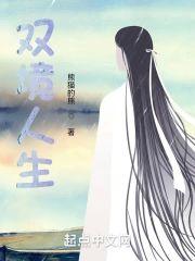 双境人生封面