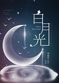 白月光封面
