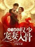 豪门蜜爱：权少宠妻入骨封面