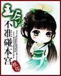 王爷不准碰本宫封面