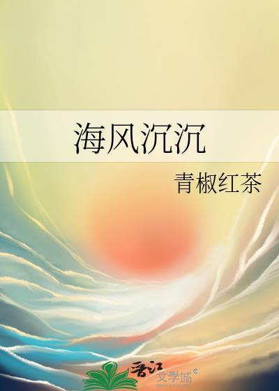 海风沈沈封面