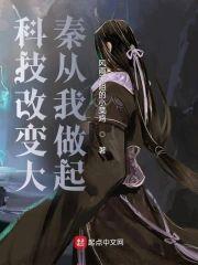 科技改变大秦从我做起封面