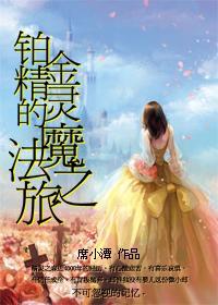 铂金精灵的魔法之旅封面