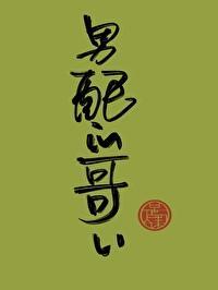 男配的哥哥[快穿]封面