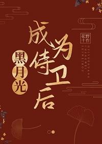 公主她黑月光来当侍卫了封面