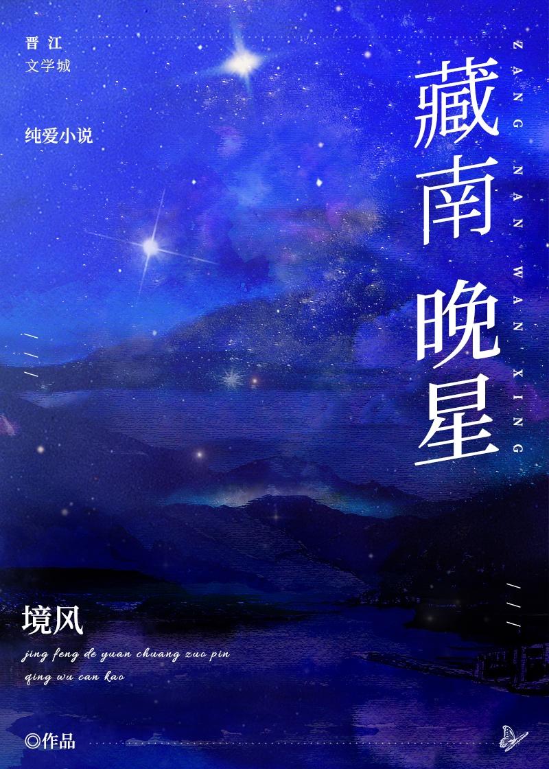藏南晚星封面