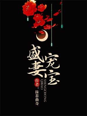 盛宠妻宝封面