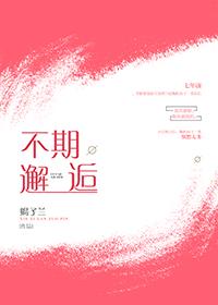 不期邂逅封面