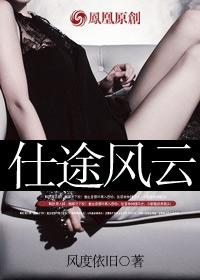 仕途风云封面