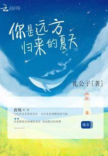 你是远方归来的夏天封面