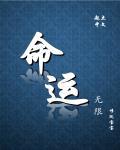 命运：无限封面