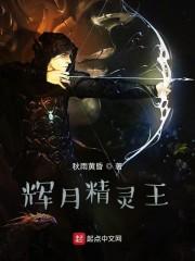 辉月精灵王封面