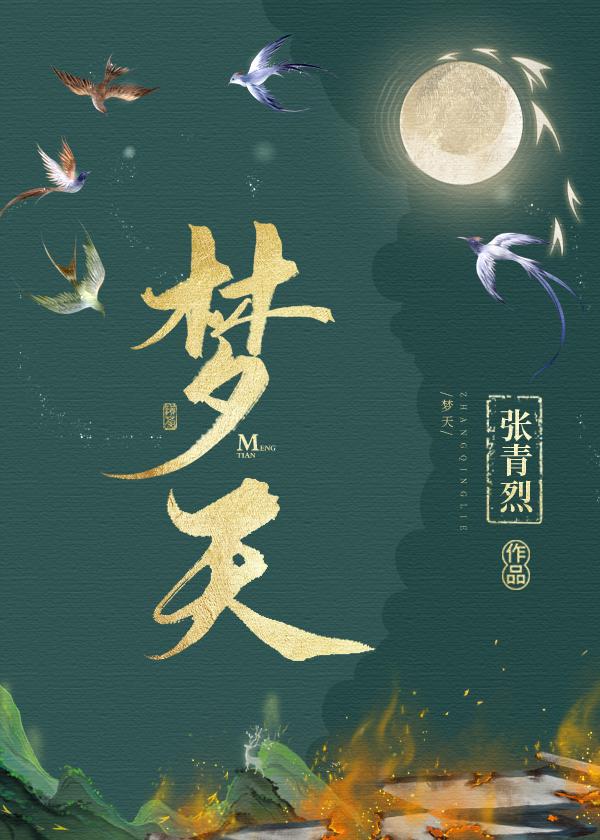 梦天[GB]封面