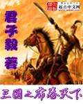 三国之席卷天下封面