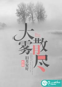 大雾散尽封面