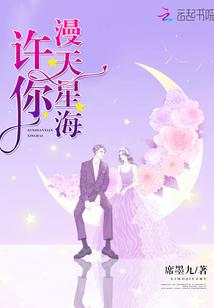 许你漫天星海封面