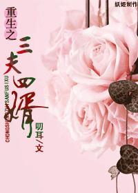 现代之三夫四婿封面