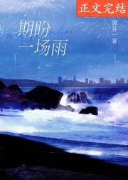 期盼一场雨封面