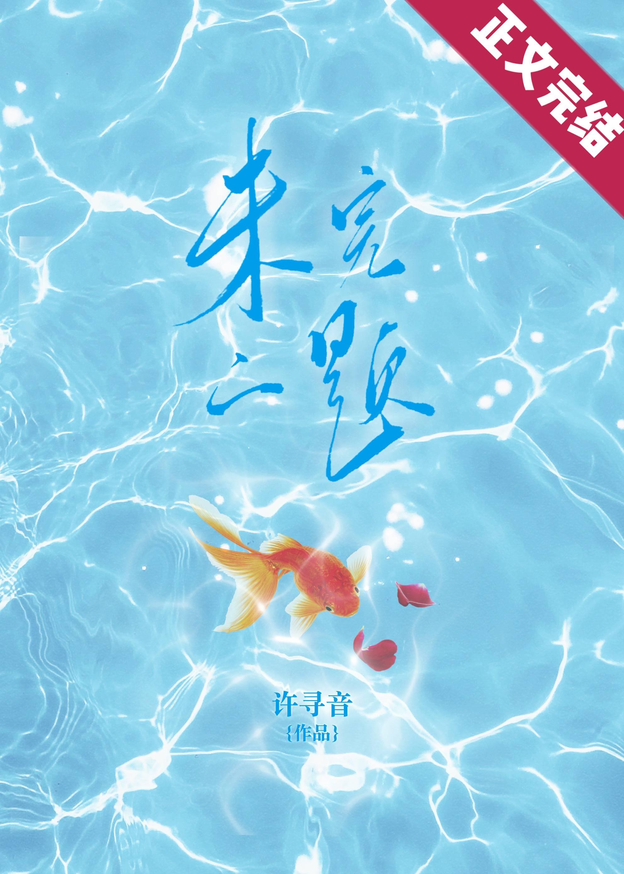 未完的题封面