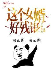 这个女婿好残银封面