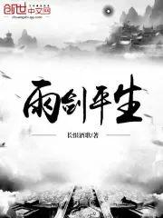 雨剑平生封面