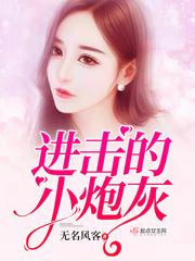 进击的小炮灰封面
